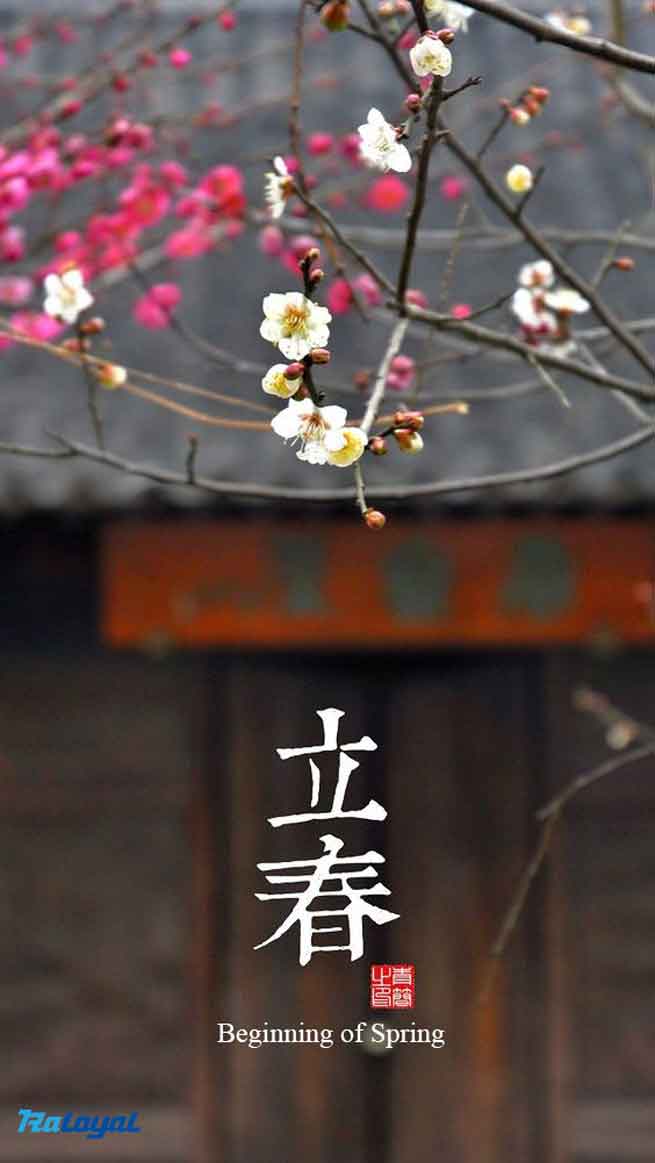 slitting rewinding machine 